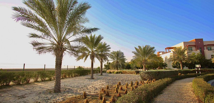 Al Waha, Terrace Studio, Abu Dhabi